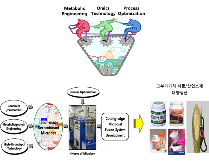 미생물 대사공학(metabolic engineering)을 이용한 식품 및 산업소재의 대량생산기술 개발(자일리톨, 바이오에탄올, 2,3-butanediol, D-ribose) 이미지