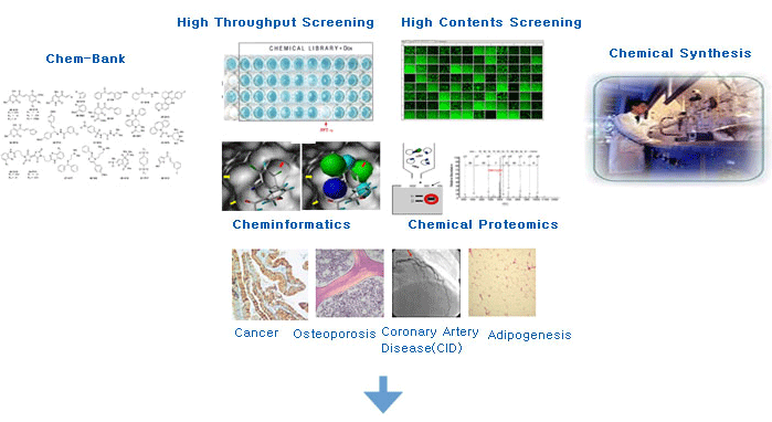 Chem-Bank / High Throughput Screening / High Contents Screening / Chemical Synthesis / Cheminformatics / Chemical Proteomics / -Cancer, -Osteoporosis, -Coronary Artery Disease(CID), -Adipogenesis