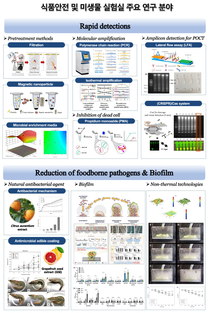 식품안전 및 미생물 실험실 주요 연구 분야